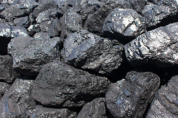 Coal